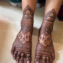 WhatsApp Image 2024-11-19 at 12.36.16 PM